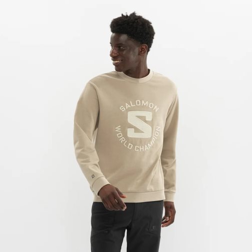 Sudaderas Salomon Outlife Logo Summer Hombre Beige | MX LXAY328